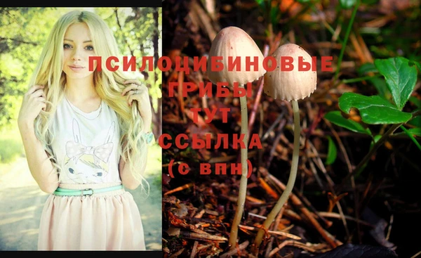 MDMA Premium VHQ Беломорск
