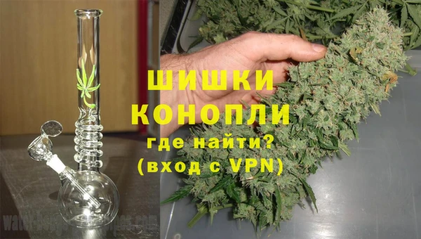 ПСИЛОЦИБИНОВЫЕ ГРИБЫ Балабаново