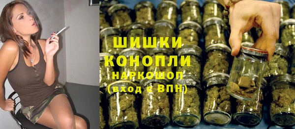 ПСИЛОЦИБИНОВЫЕ ГРИБЫ Балабаново