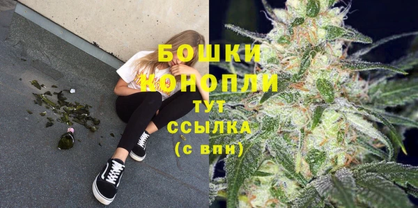 ПСИЛОЦИБИНОВЫЕ ГРИБЫ Балабаново