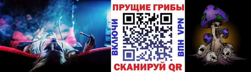 Псилоцибиновые грибы GOLDEN TEACHER  omg как войти  Красавино 